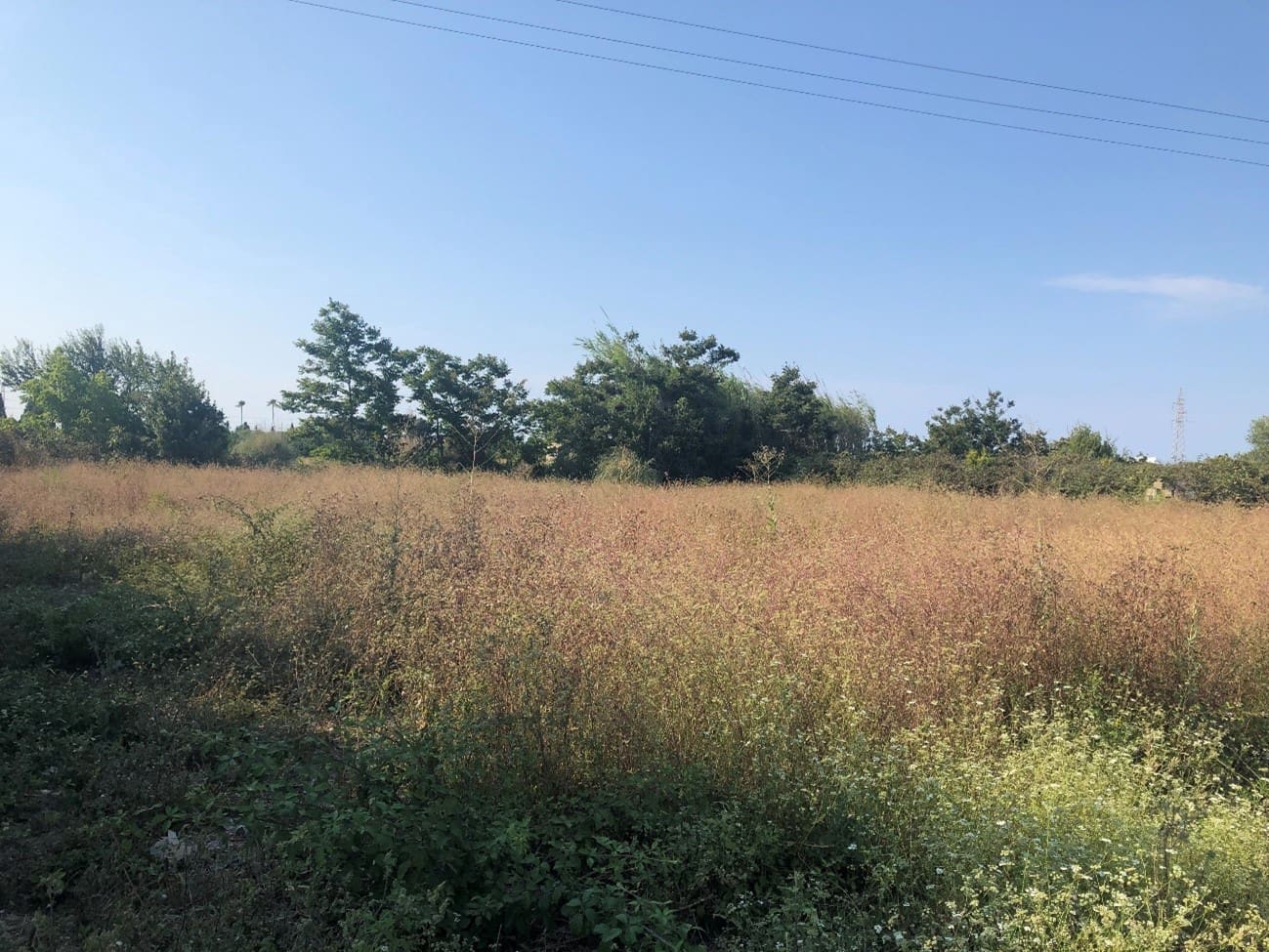 Undeveloped Land for sale in Oliva - € 422,000 (Ref: 9630600)