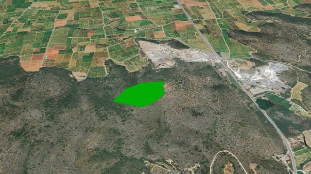 Mark till salu i Oliva Pueblo, Oliva - 29 000 € (Ref: 9630602)