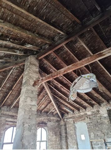 4 Zimmer Haus zu verkaufen in Palma de Gandía - 60.000 € (Ref: 9696700)