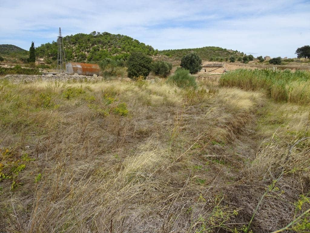 Finca/Maison de Campagne à vendre à Corbera d'Ebre - 38 000 € (Ref: 10014282)