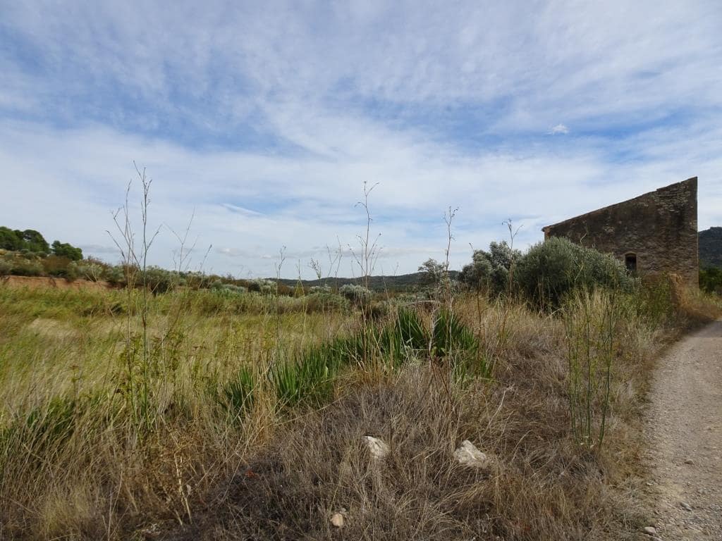 Finca/Maison de Campagne à vendre à Corbera d'Ebre - 38 000 € (Ref: 10014282)