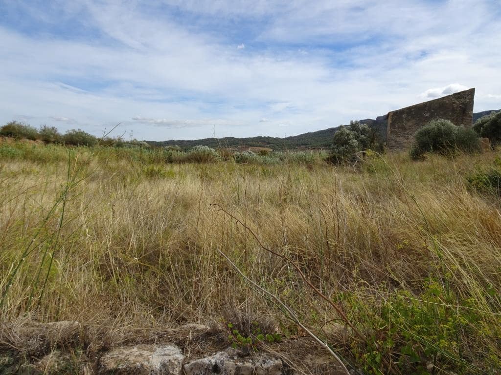 Finca/Maison de Campagne à vendre à Corbera d'Ebre - 38 000 € (Ref: 10014282)