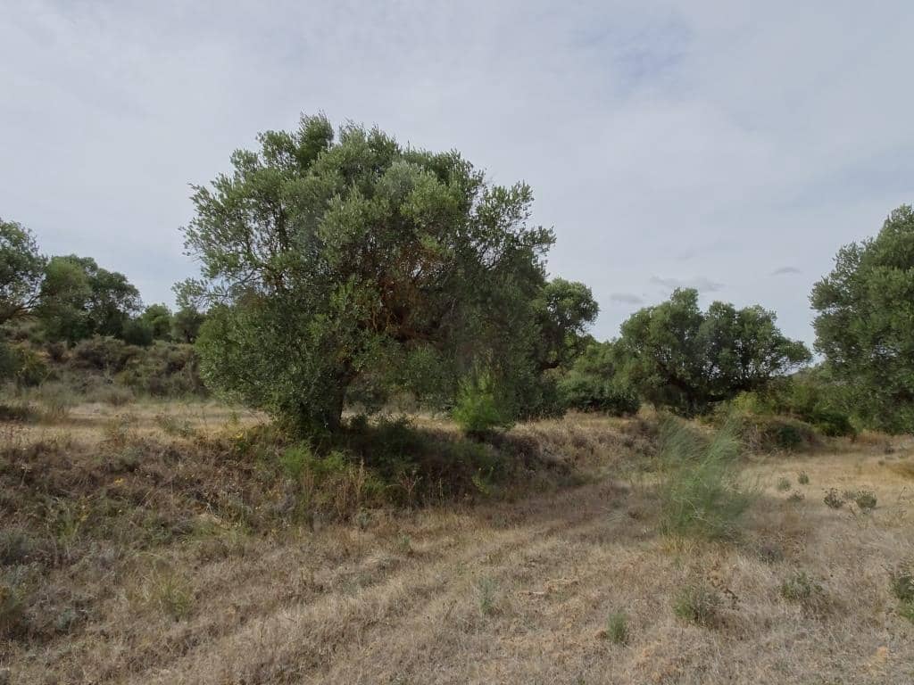 Finca/Maison de Campagne à vendre à Corbera d'Ebre - 38 000 € (Ref: 10014282)