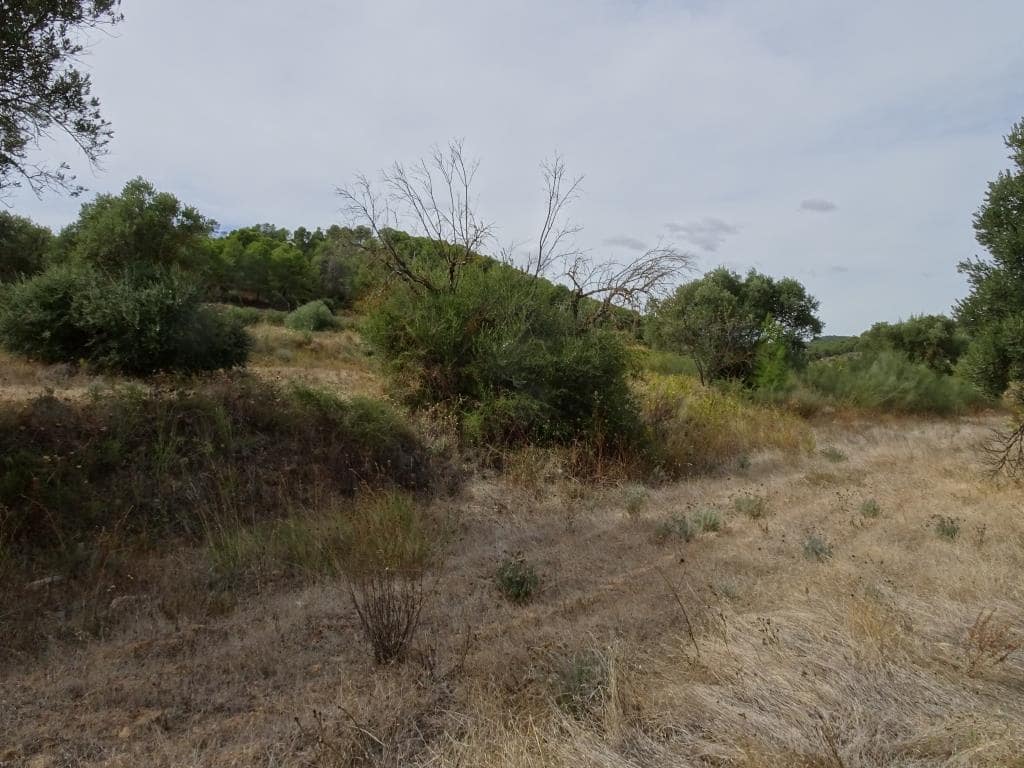 Finca/Maison de Campagne à vendre à Corbera d'Ebre - 38 000 € (Ref: 10014282)