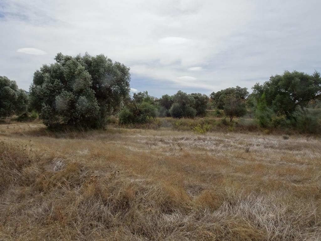 Finca/Maison de Campagne à vendre à Corbera d'Ebre - 38 000 € (Ref: 10014282)