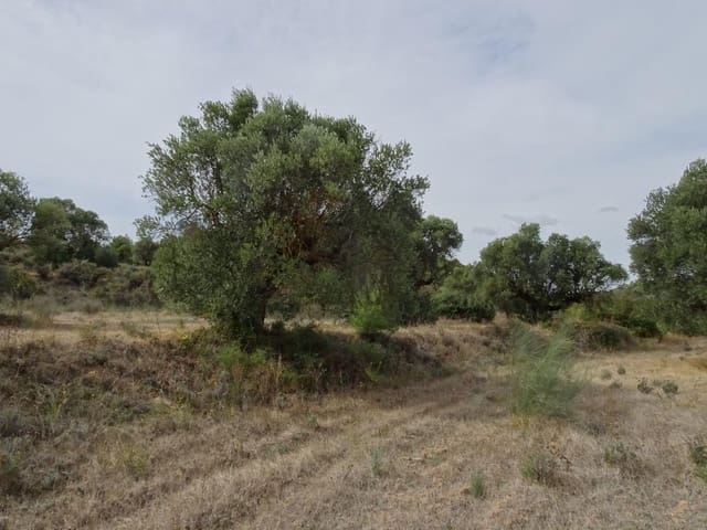 Finca/Maison de Campagne à vendre à Corbera d'Ebre - 38 000 € (Ref: 10014282)