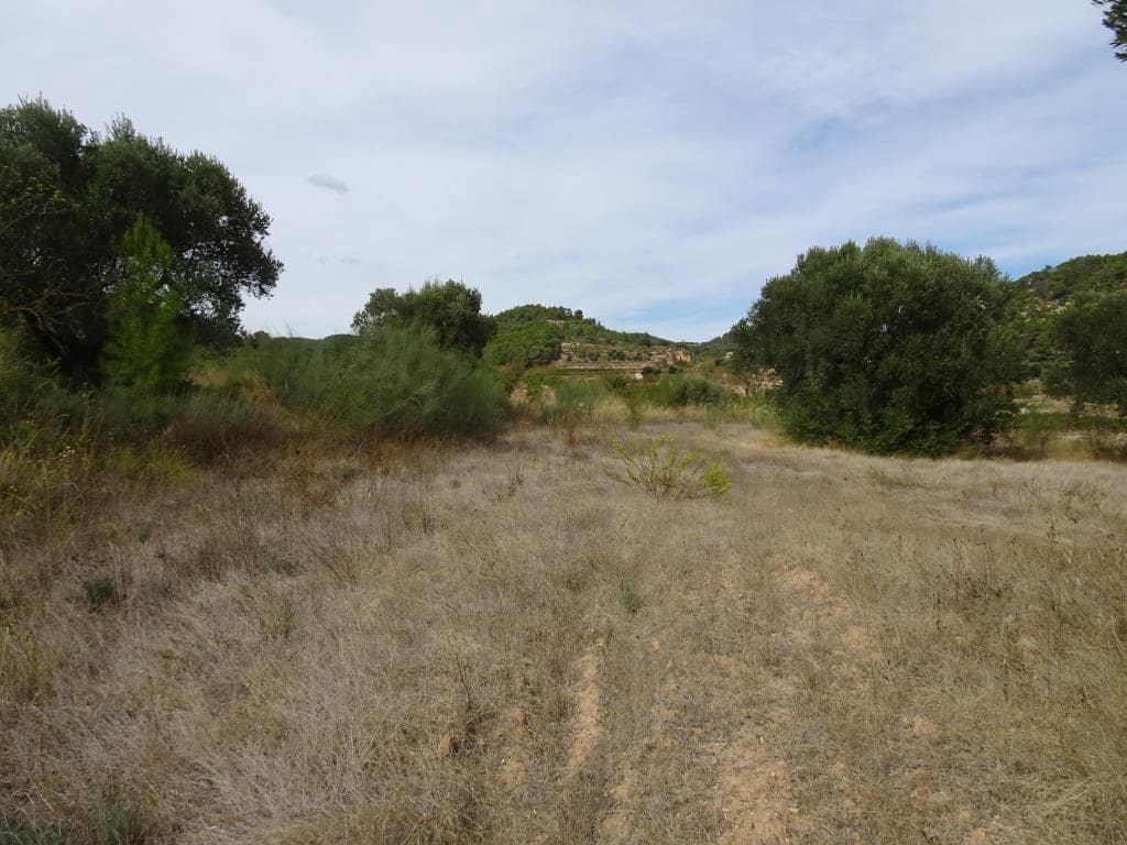 Finca/Maison de Campagne à vendre à Corbera d'Ebre - 38 000 € (Ref: 10014282)
