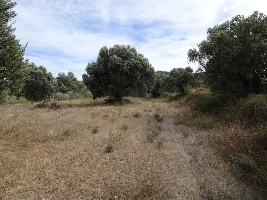 Finca/Maison de Campagne à vendre à Corbera d'Ebre - 38 000 € (Ref: 10014282)