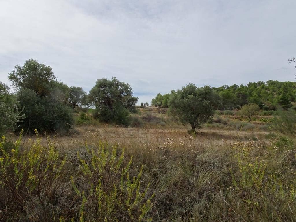 Finca/Maison de Campagne à vendre à Corbera d'Ebre - 38 000 € (Ref: 10014282)