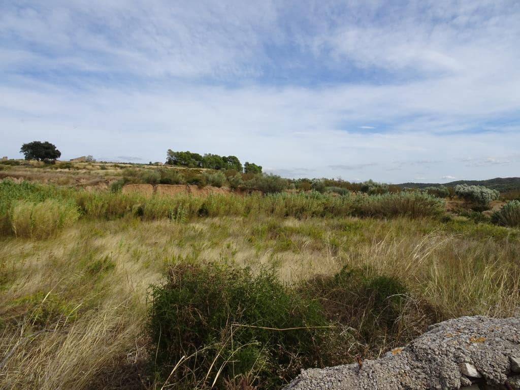 Finca/Maison de Campagne à vendre à Corbera d'Ebre - 38 000 € (Ref: 10014282)