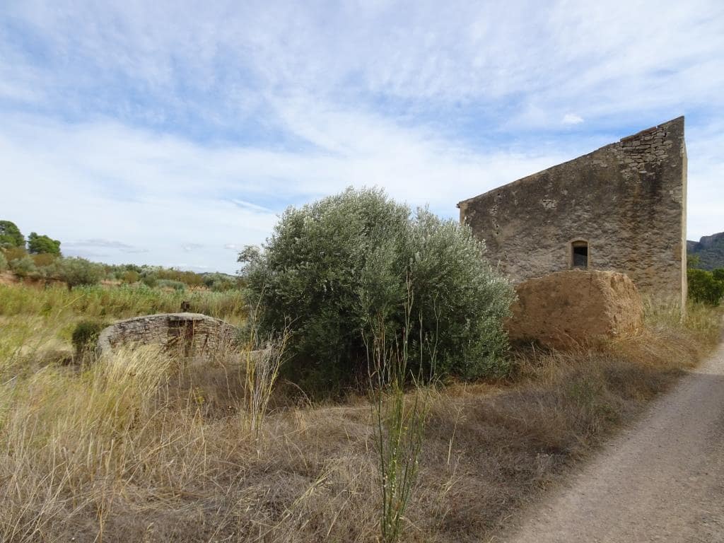 Finca/Maison de Campagne à vendre à Corbera d'Ebre - 38 000 € (Ref: 10014282)