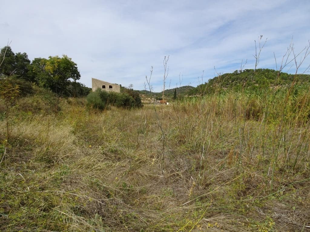 Finca/Maison de Campagne à vendre à Corbera d'Ebre - 38 000 € (Ref: 10014282)
