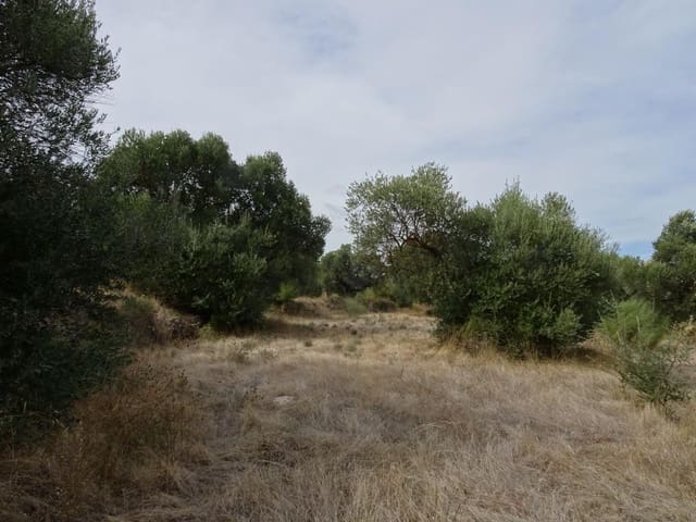 Finca/Maison de Campagne à vendre à Corbera d'Ebre - 38 000 € (Ref: 10014282)