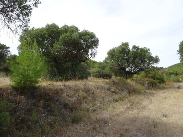 Finca/Maison de Campagne à vendre à Corbera d'Ebre - 38 000 € (Ref: 10014282)