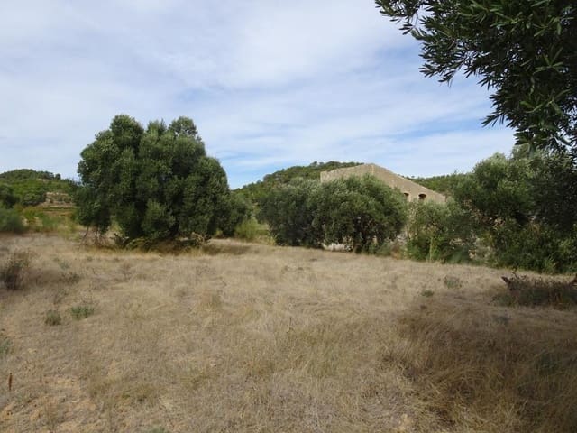 Finca/Maison de Campagne à vendre à Corbera d'Ebre - 38 000 € (Ref: 10014282)