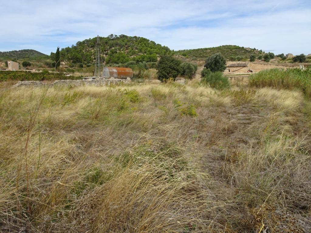 Finca/Maison de Campagne à vendre à Corbera d'Ebre - 38 000 € (Ref: 10014282)