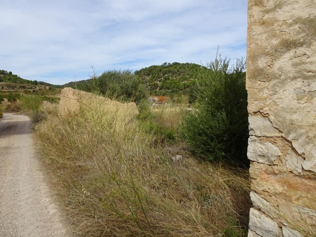 Finca/Maison de Campagne à vendre à Corbera d'Ebre - 38 000 € (Ref: 10014282)