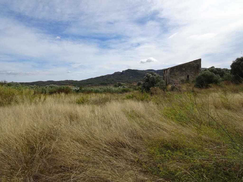 Finca/Maison de Campagne à vendre à Corbera d'Ebre - 38 000 € (Ref: 10014282)