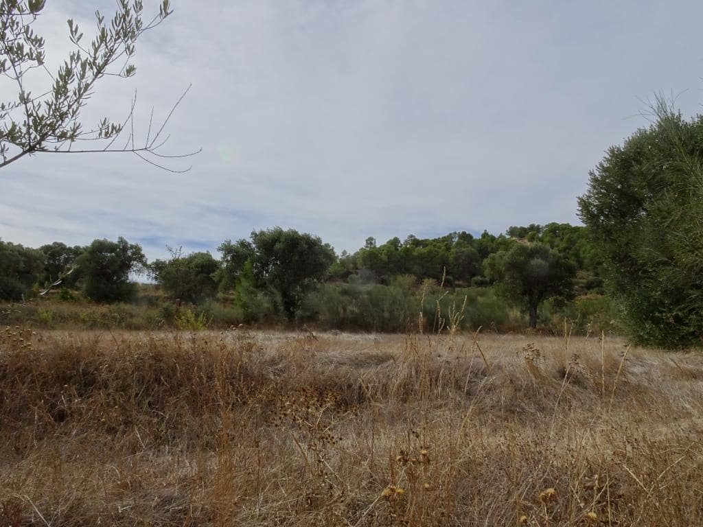 Finca/Maison de Campagne à vendre à Corbera d'Ebre - 38 000 € (Ref: 10014282)