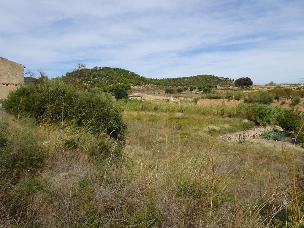 Finca/Maison de Campagne à vendre à Corbera d'Ebre - 38 000 € (Ref: 10014282)