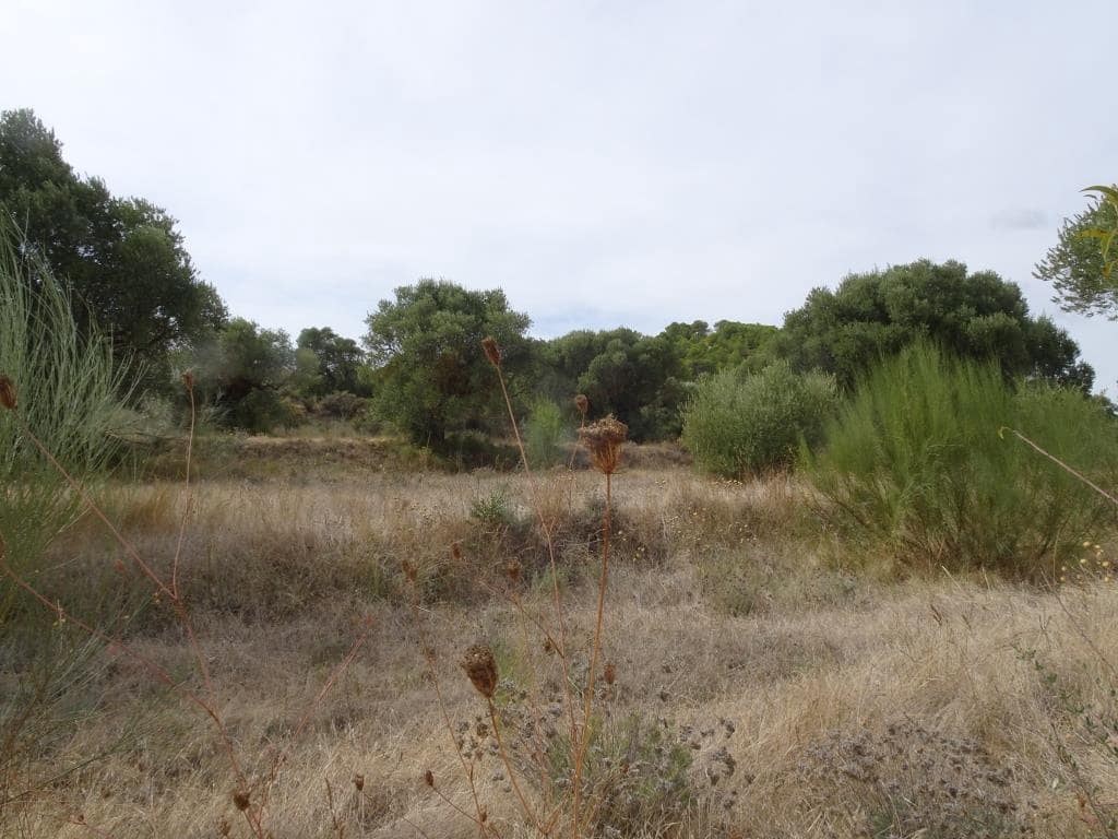 Finca/Maison de Campagne à vendre à Corbera d'Ebre - 38 000 € (Ref: 10014282)