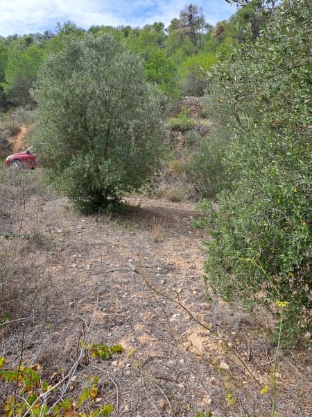 Finca/Landhuis te koop in Corbera d'Ebre - € 9.000 (Ref: 10014283)