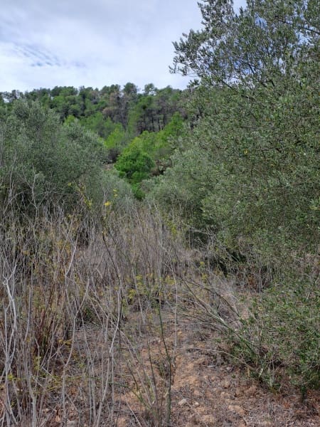 Finca/Landhuis te koop in Corbera d'Ebre - € 9.000 (Ref: 10014283)