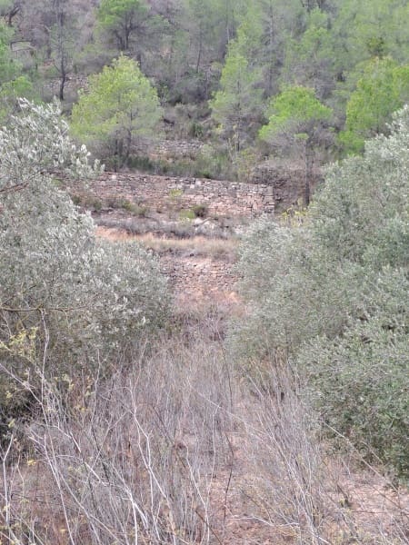 Finca/Landhuis te koop in Corbera d'Ebre - € 9.000 (Ref: 10014283)