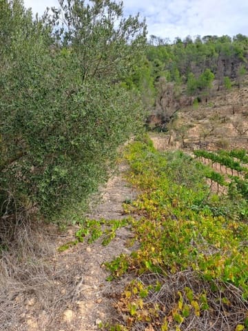 Finca/Maison de Campagne à vendre à Corbera d'Ebre - 9 000 € (Ref: 10014283)