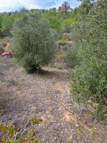 Finca/Maison de Campagne à vendre à Corbera d'Ebre - 9 000 € (Ref: 10014283)
