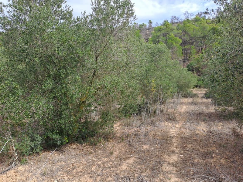 Finca/Landhuis te koop in Corbera d'Ebre - € 9.000 (Ref: 10014283)