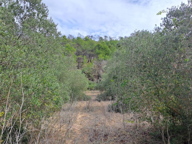 Finca/Landhuis te koop in Corbera d'Ebre - € 9.000 (Ref: 10014283)