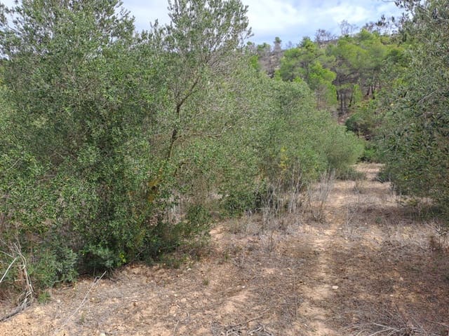 Finca/Maison de Campagne à vendre à Corbera d'Ebre - 9 000 € (Ref: 10014283)