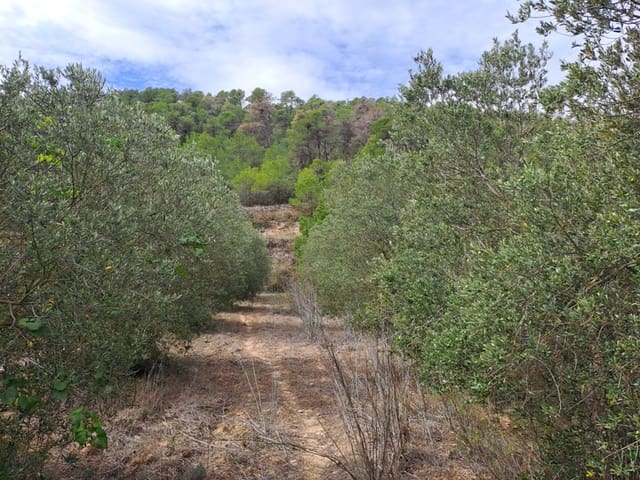 Finca/Maison de Campagne à vendre à Corbera d'Ebre - 9 000 € (Ref: 10014283)