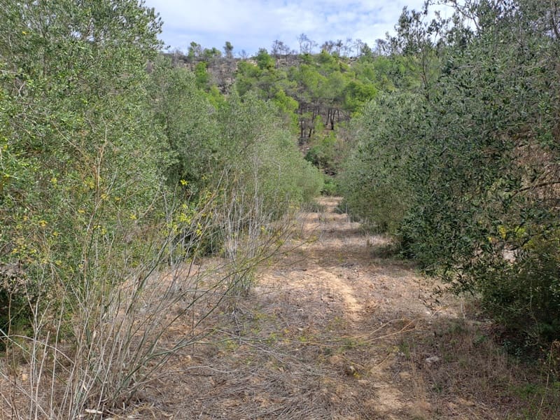 Finca/Landhuis te koop in Corbera d'Ebre - € 9.000 (Ref: 10014283)