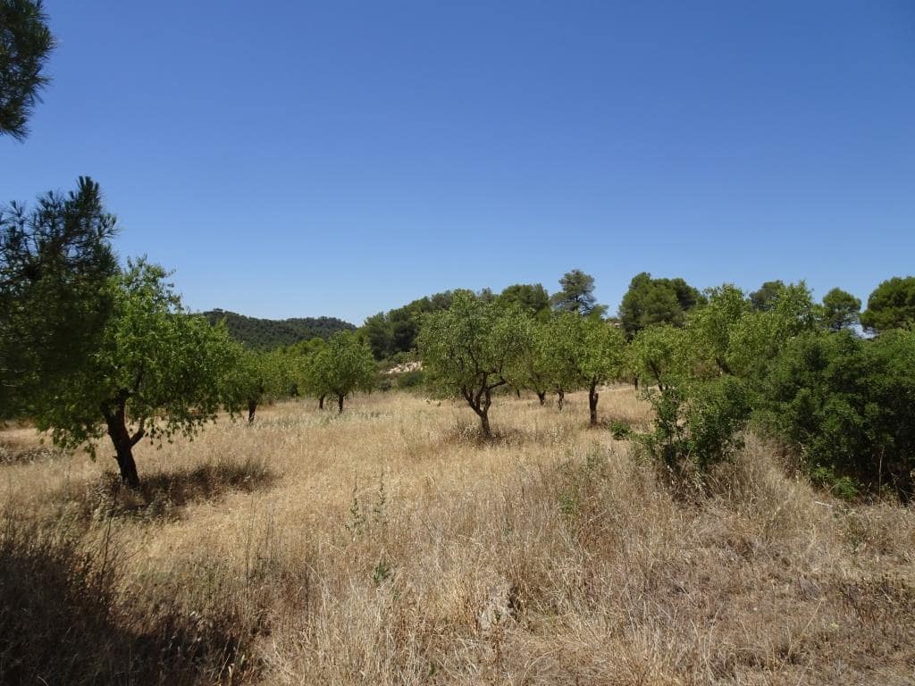 Finca/Casa di Campagna in vendita in Caseres con garage - 35.000 € (Rif: 10120574)