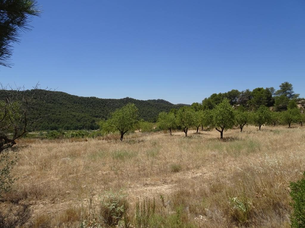 Finca/Casa di Campagna in vendita in Caseres con garage - 35.000 € (Rif: 10120574)