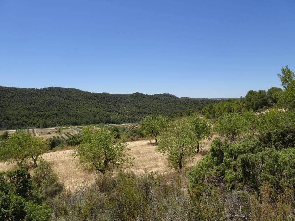 Finca/Casa di Campagna in vendita in Caseres con garage - 35.000 € (Rif: 10120574)