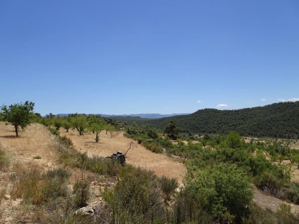 Finca/Casa di Campagna in vendita in Caseres con garage - 35.000 € (Rif: 10120574)