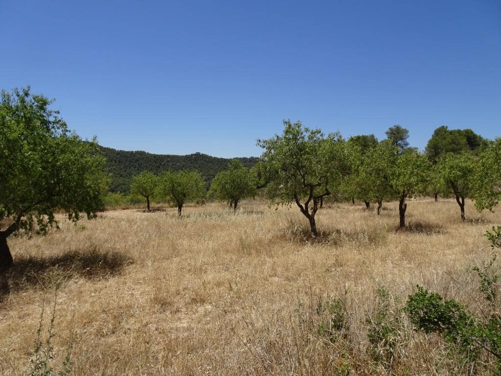 Finca/Casa di Campagna in vendita in Caseres con garage - 35.000 € (Rif: 10120574)