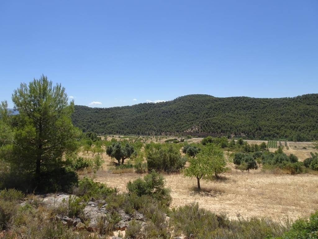 Finca/Casa di Campagna in vendita in Caseres con garage - 35.000 € (Rif: 10120574)