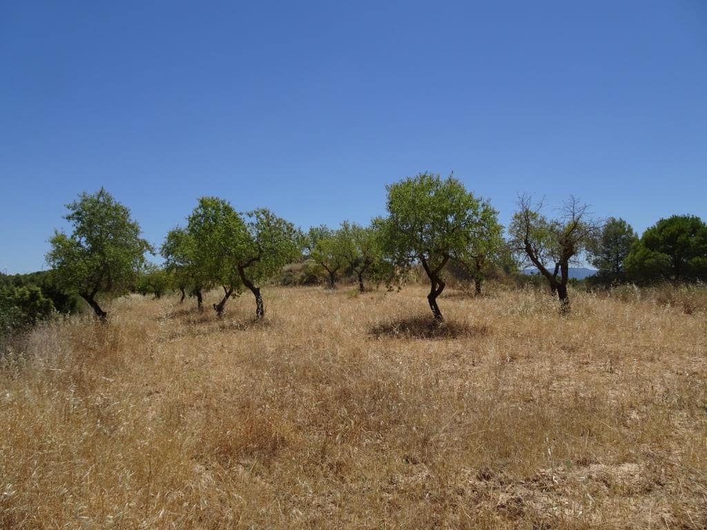 Finca/Casa di Campagna in vendita in Caseres con garage - 35.000 € (Rif: 10120574)