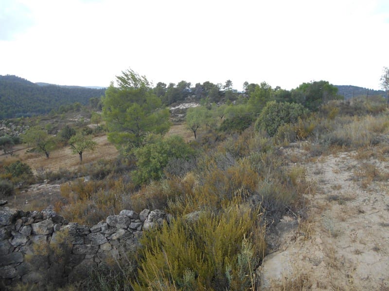 Finca/Casa di Campagna in vendita in Caseres con garage - 35.000 € (Rif: 10120574)