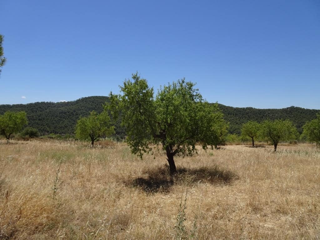 Finca/Casa di Campagna in vendita in Caseres con garage - 35.000 € (Rif: 10120574)
