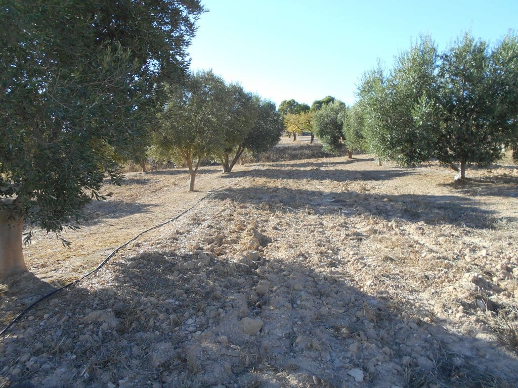 Finca/Casa di Campagna in vendita in Gandesa - 12.000 € (Rif: 10120575)