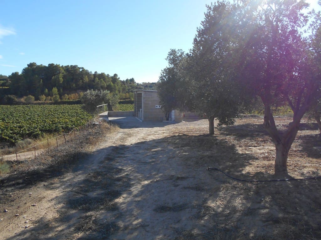 Finca/Casa di Campagna in vendita in Gandesa - 12.000 € (Rif: 10120575)