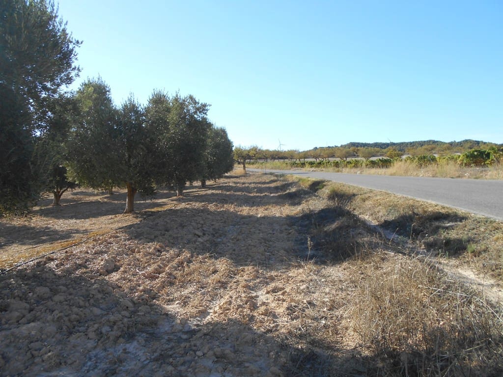 Finca/Casa di Campagna in vendita in Gandesa - 12.000 € (Rif: 10120575)