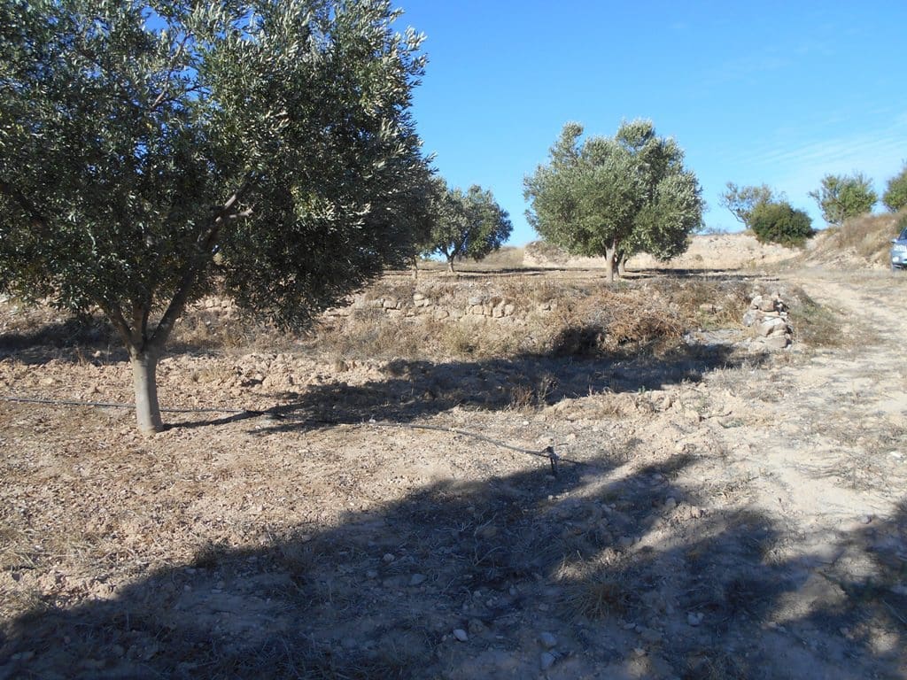 Finca/Casa di Campagna in vendita in Gandesa - 12.000 € (Rif: 10120575)