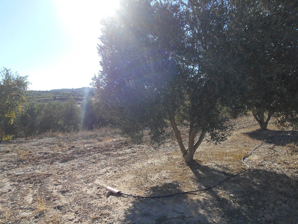 Finca/Casa di Campagna in vendita in Gandesa - 12.000 € (Rif: 10120575)