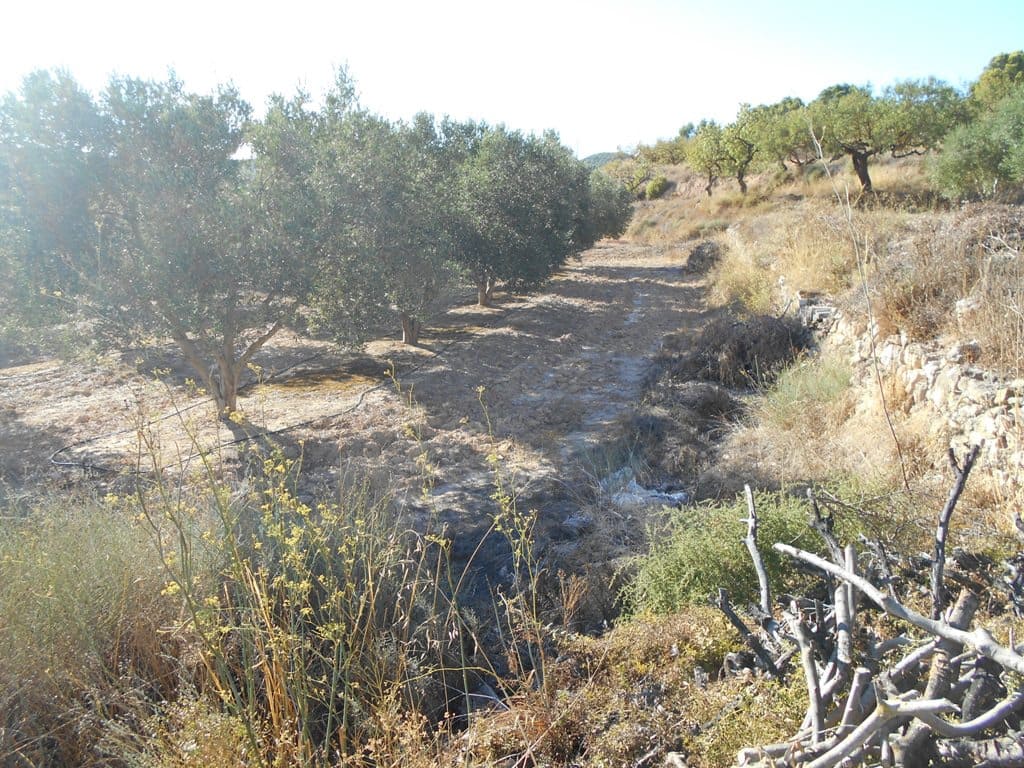 Finca/Casa di Campagna in vendita in Gandesa - 12.000 € (Rif: 10120575)